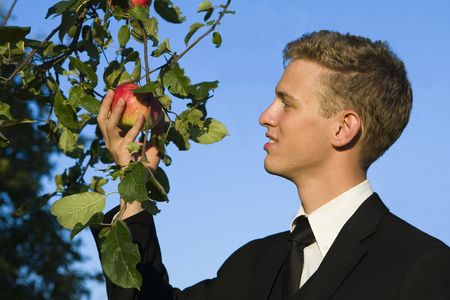 The young owner of an apple orchad tesing his red-golden apples just before harvest.の写真素材