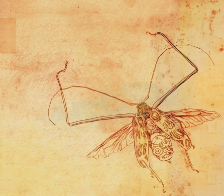 Vintage Steampunk beetle on antique paper  Hands drawn illustration  の写真素材