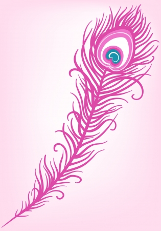 illustration of beautiful peacock feather on a white background (vector) のイラスト素材