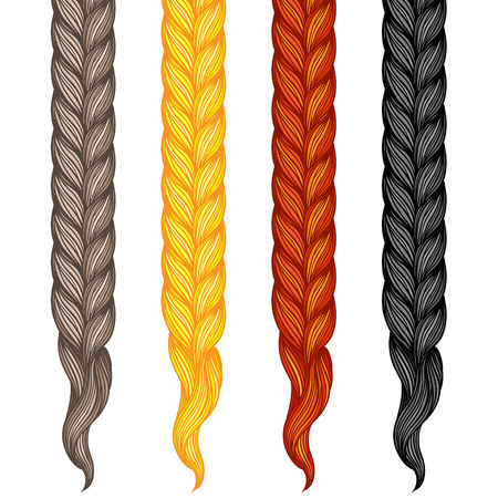 Set of four braids isolated on white background. Vector illustration of human hair in different natural colors.のイラスト素材