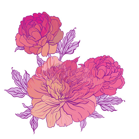 Beautiful peony bouquet design on beige background. Hand drawn vector illustration.のイラスト素材