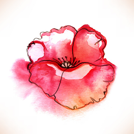 Red Watercolor Poppy flower over white backgound. Vector illustration.のイラスト素材