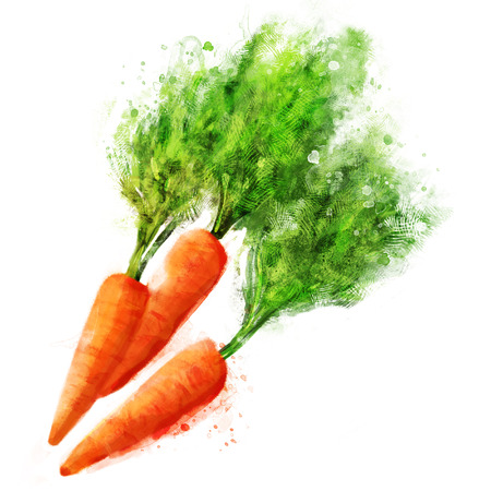 vector vegetables set: carrot on whiteのイラスト素材