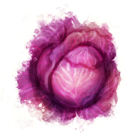 Watercolor vegetables: cabbage isolated on whiteのイラスト素材