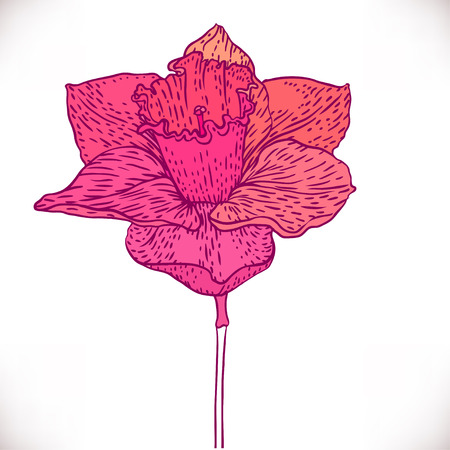 Vintage hand-drawing background with flowers. Vector illustration.のイラスト素材