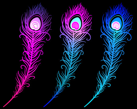 illustration of colorful peacock feather on a white background (vector)のイラスト素材
