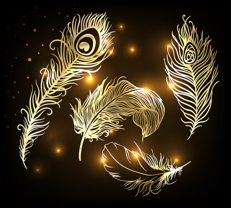 Shiny gold feather over dark backgroundのイラスト素材