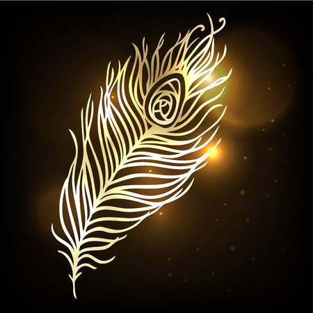 Shiny gold feather over dark backgroundのイラスト素材