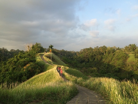 Artist path in Ubud, bali, Indonesiaの素材
