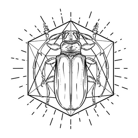 Black and white beetle over sacred geometry, isolated vector illustration. Tattoo sketch. Mystical symbols and insects. Alchemy, religion, occultism, spirituality, coloring book. Hand-drawn vintage.のイラスト素材