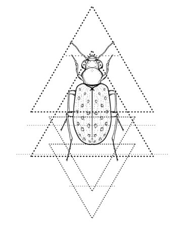 Black and white beetle over sacred geometry, isolated vector illustration. Tattoo sketch. Mystical symbols and insects. Alchemy, religion, occultism, spirituality, coloring book. Hand-drawn vintage.のイラスト素材