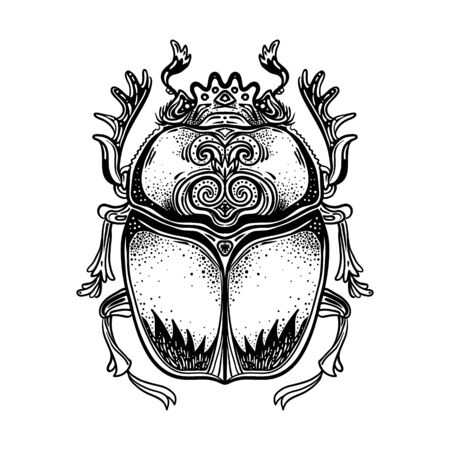 Scarabaeus sacer, Dung beetle isolated on whiteのイラスト素材
