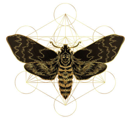 Golden moth over sacred geometry sign, isolated vector illustration. Tattoo flash. Mystical symbols and insects in gold. Alchemy, occultism, spirituality. Hand-drawn vintage.のイラスト素材