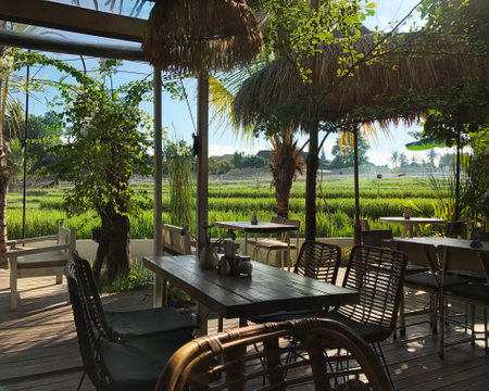 Cozy garden cafe in rustic style with rice terrace view in Ubud city, island Bali, Indonesia.の写真素材