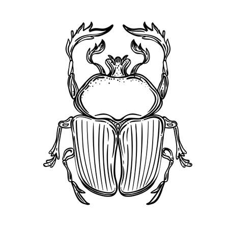 Scarabaeus sacer, Dung beetle. Sacred symbol of in ancient Egypt. Fantasy ornate insects. Isolated vector illustration. Spirituality, occultism, chemistry, occult sun tattoo.のイラスト素材