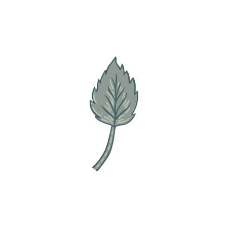 Floral vintage element. Enchanted Vintage Flowers. Arts and Crafts movement inspired. Vector design element. Isolated on white.のイラスト素材