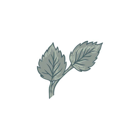 Floral vintage element. Enchanted Vintage Flowers. Arts and Crafts movement inspired. Vector design element. Isolated on white.のイラスト素材