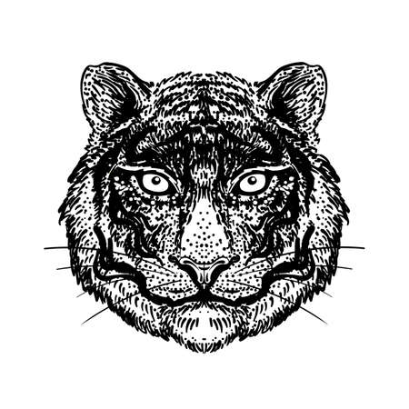 Patterned ornate tiger head. African, Indian, totem, tattoo, sticker design. Design of t-shirt, bag, postcard and posters. Vector isolated illustration in black and white. Coloring book.のイラスト素材