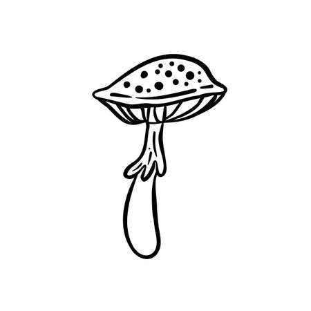Magic mushrooms. Psychedelic hallucination. Outline vector illustration isolated on white. 60s hippie art. Coloring book for kids and adults.のイラスト素材