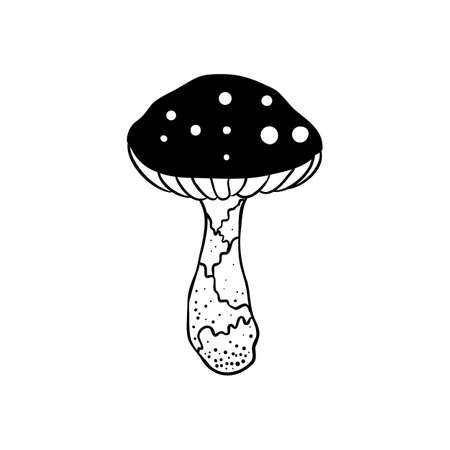 Magic mushrooms. Psychedelic hallucination. Outline vector illustration isolated on white. 60s hippie art. Coloring book for kids and adults.のイラスト素材