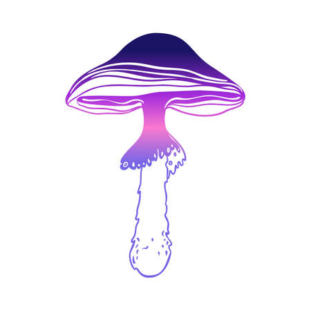 Magic mushrooms. Psychedelic hallucination. Gradient colorful vector illustration isolated on white. 60s triply hippie art.のイラスト素材