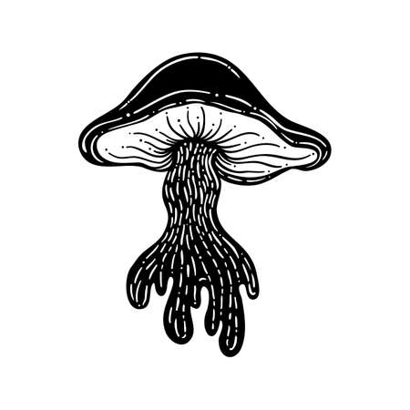 Magic mushrooms. Psychedelic hallucination. Outline vector illustration isolated on white. 60s hippie art. Coloring book for kids and adults.のイラスト素材