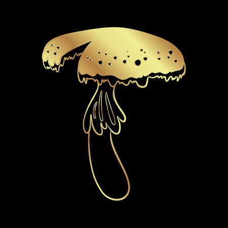 Magic mushrooms. Psychedelic hallucination. Gold vector illustration isolated on black. 60s hippie art. Coloring book for kids and adults.のイラスト素材
