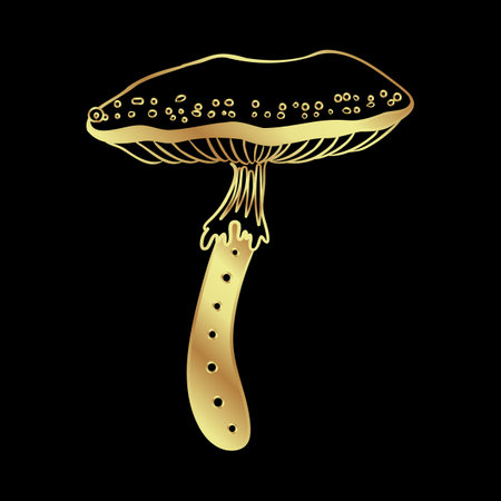 Magic mushrooms. Psychedelic hallucination. Gold vector illustration isolated on black. 60s hippie art. Coloring book for kids and adults.のイラスト素材