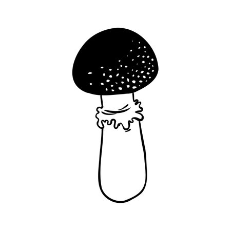 Magic mushrooms. Psychedelic hallucination. Outline vector illustration isolated on white. 60s hippie art. Coloring book for kids and adults.のイラスト素材