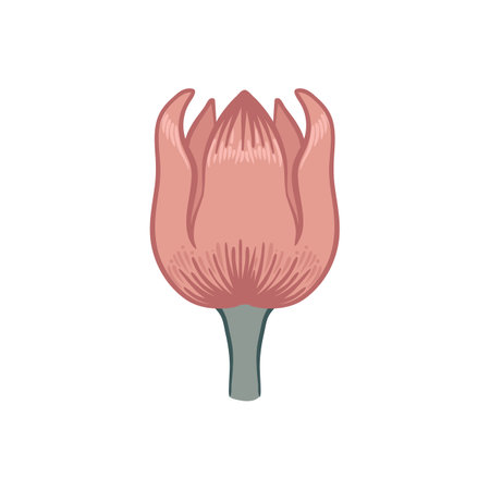 Floral vintage element. Enchanted Vintage Flowers. Arts and Crafts movement inspired. Vector design element. Isolated on white.のイラスト素材