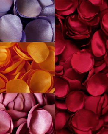 satin petals of different colors close planom.kollazhの写真素材