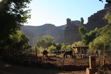 Supai Villageのeditorial素材
