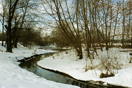 small stream flowing between the trees winterの写真素材