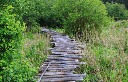 Dangerous if broken wooden bridge on foot