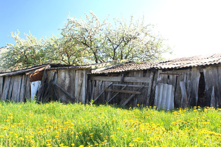Spring in the old villageの写真素材