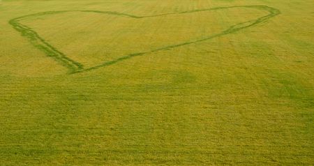 foot step heart sign on the grass, Berliの写真素材