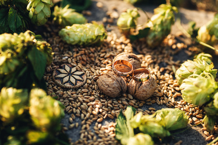 Still life of hops, wheat seeds, walnuts, alatyr, wedding rings on granite stone. Backlight.の写真素材