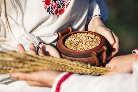 Spikelets of wheat and a pot of wheat seeds are held in the hands of a guy and a girl in embroidered shirts.の写真素材