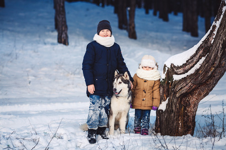 Cheerful little boy and girl are standing with their big dog in the winter near a crooked tree in the forestの写真素材