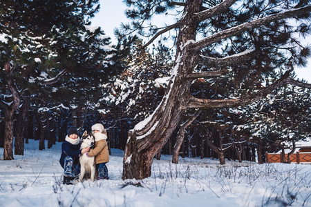 Cheerful little boy and girl are standing with their big dog in the winter near a crooked tree in the forestの写真素材