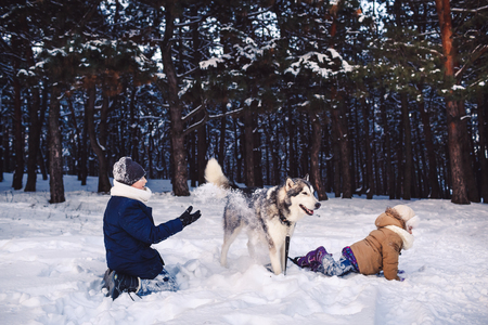Children have fun playing with their dog in the park in winter. Concept of happy winter holidaysの写真素材