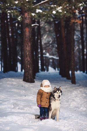 Funny little girl hugging her big Malamute dog in winter in the forest. Concept of friendship of man and dog. The concept of winter holidays.の写真素材
