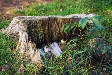 plastic glasses are lying on the grass near the stump. Environmental pollution conceptの写真素材
