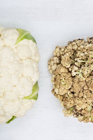 comparison of young and old rotten cauliflower. concept of youth and old ageの写真素材