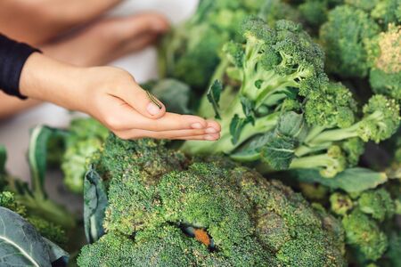 the child holds on his hand a caterpillar on a background of broccoli. healthy eating concept....