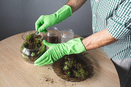 hands in gloves plant succulents with tweezers.