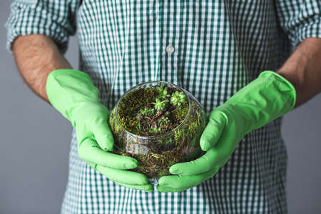 gloved man holding mini succulent garden in glass florarium, closeup.の写真素材