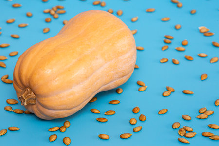On a blue background, pumpkin and scattered roasted seedsの写真素材