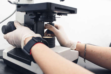 close-up of the hands of a laboratory assistant adjust the microscope for research.
