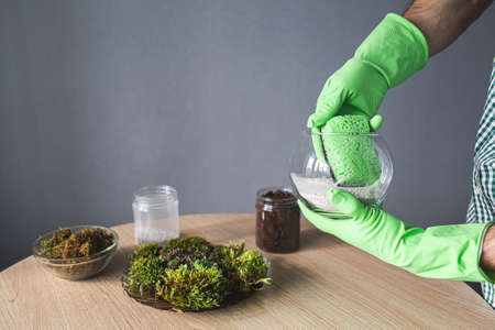 close-up of hands in gloves wipe the florarium with a sponge. preparation for transplanting indoor...